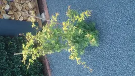 20170727_212722.webp