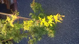 20170727_212739.webp