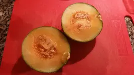 20170727_203145.2.webp