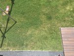 IMG_0185.jpg