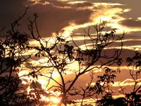 P1000725.webp