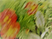 Tagetes1.webp