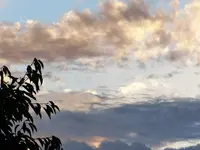 P1000727.jpg