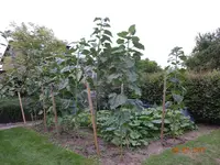 DSC01166.webp