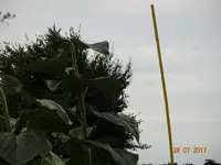 DSC01165.webp