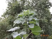 DSC01167.webp