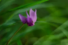 12345678-.webp