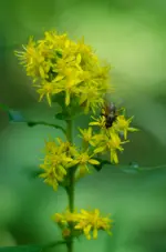 Nikon5100 (1)-1.webp