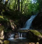 DSC_0143-Pano-1.webp