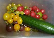 Ernte 29.7.2017.webp