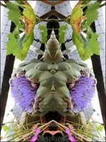F017.webp