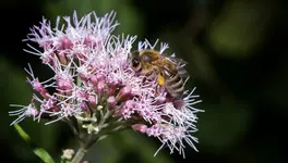 _MG_8675.webp