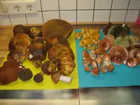 004_1024x768.JPG