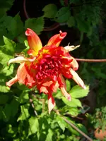 DSCI0543.webp