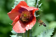 DSC_0189.webp