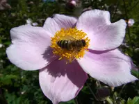 021.webp