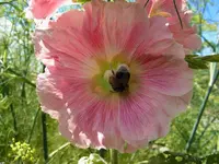 016.webp