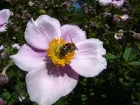 020.webp