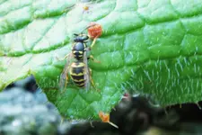 DSCF9679 (2).webp
