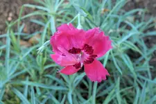 DSCF9700 (2).webp