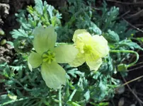 DSCF9708 (2).webp