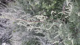 20170729_195316.webp
