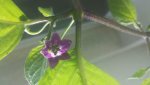 20170728_103849.jpg