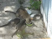 Mittagessen.jpg