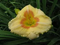 sil. ethel smith_1024x768.webp