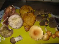 024_1024x768.webp