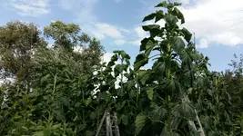 1501424971180-358115127.webp