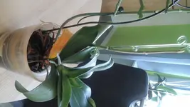 20170730_180047.webp
