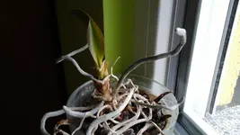 20170730_180158.webp