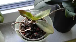 20170730_180132.webp