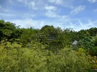 P1060650.webp