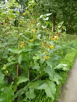 P1060677Alant.webp