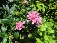 027_1024x768.webp