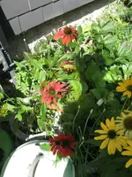 029_576x768.webp