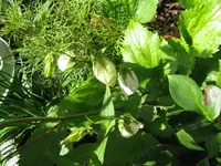 031_1024x768.webp
