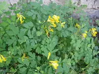 033_1024x768.webp