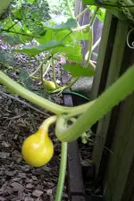 IMGP1396.webp