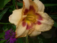 DSCI0557.jpg