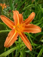 DSCI0558.jpg