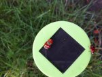 20170729_165326.jpg