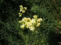 BILD7684.webp