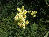 BILD7685.webp