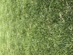 IMG_9380.jpg