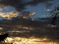 P1000719.webp