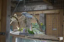 _DSC2029.webp
