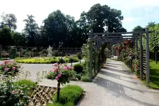 Schloßparterre im Rosarium Baden.jpg